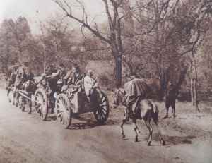 SAMSUNG CAMERA PICTURES