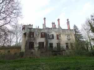 SAMSUNG CAMERA PICTURES