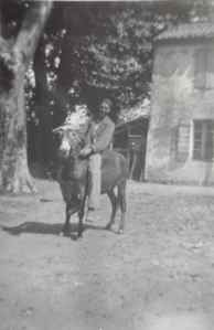 SAMSUNG CAMERA PICTURES