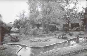 SAMSUNG CAMERA PICTURES