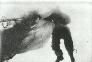 LE MONDE DU SILENCE PHOTO 2