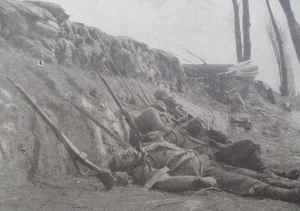 SAMSUNG CAMERA PICTURES