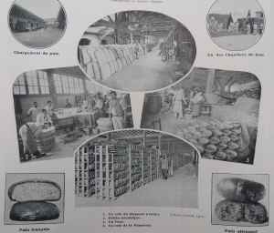 SAMSUNG CAMERA PICTURES