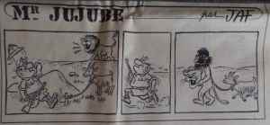 SAMSUNG CAMERA PICTURES