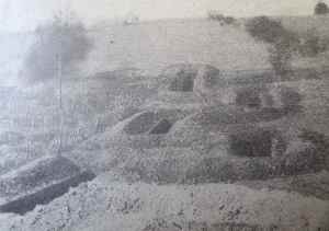 SAMSUNG CAMERA PICTURES