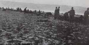 SAMSUNG CAMERA PICTURES