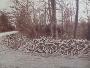 SAMSUNG CAMERA PICTURES