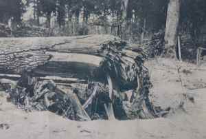 SAMSUNG CAMERA PICTURES