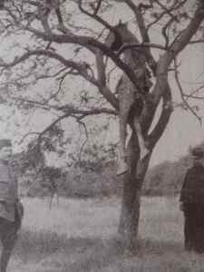 SAMSUNG CAMERA PICTURES