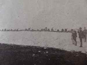 SAMSUNG CAMERA PICTURES