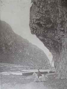 SAMSUNG CAMERA PICTURES