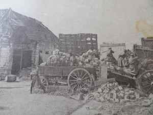 SAMSUNG CAMERA PICTURES