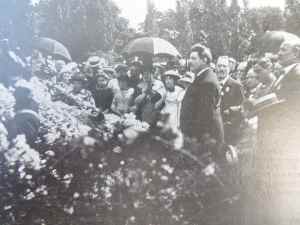 SAMSUNG CAMERA PICTURES