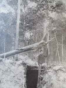 SAMSUNG CAMERA PICTURES