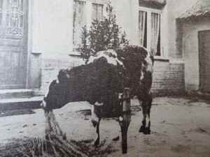 SAMSUNG CAMERA PICTURES