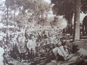 SAMSUNG CAMERA PICTURES