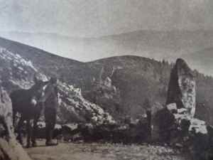 SAMSUNG CAMERA PICTURES