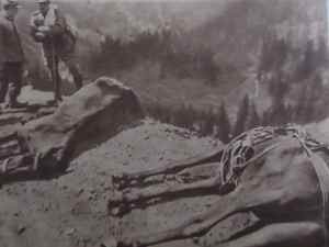 SAMSUNG CAMERA PICTURES