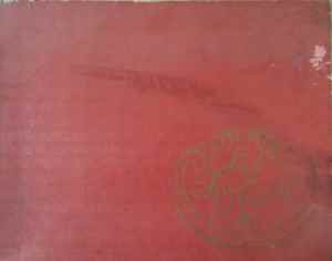 SAMSUNG CAMERA PICTURES