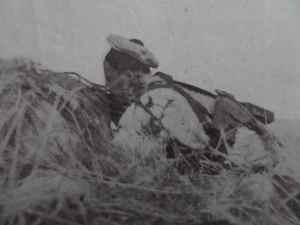 SAMSUNG CAMERA PICTURES