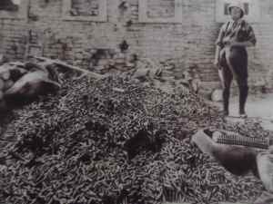 SAMSUNG CAMERA PICTURES