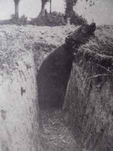 SAMSUNG CAMERA PICTURES