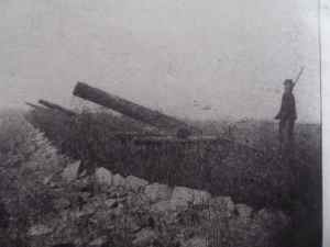 SAMSUNG CAMERA PICTURES