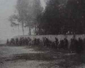 SAMSUNG CAMERA PICTURES